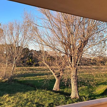 Appartamento Lizzies Hus Fiumicino Esterno foto